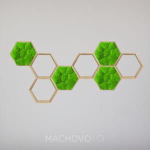 Machovo policová zostava - šesťuholníková oktáva - kopcovitý mach