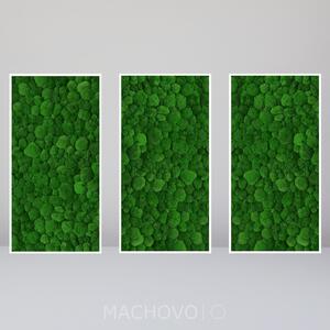 Machová zostava - obdĺžniková trojica - kopcovitý mach