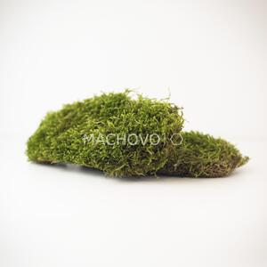 Stabilizovaný mach - plochý - PREMIUM