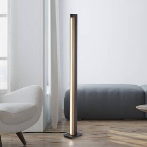 LED stojacia lampa PURE Lines, čierna, drevo, diaľkové ovládanie, 140 cm, Svetlé drevo, Obývacia izba / jedáleň, Drevo