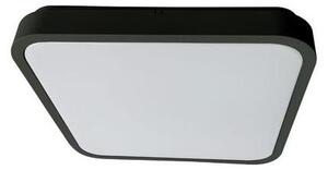 Rabalux 71432 - LED Kúpeľňové stropné svietidlo ALENZO LED/24W/230V IP44 čierna