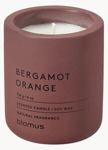 Vonná sviečka Fraga (Bergamot & Orange)