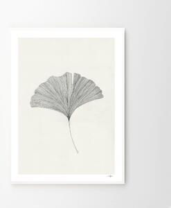 The Poster Club Plagát Ginkgo Leaf by Ana Frois 30x40 cm
