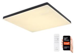 Globo 48025BSH - LED Stmievateľné stropné svietidlo LED/24W/230V Wi-Fi Tuya + DO