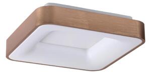 Rabalux 5056 - LED Stropné svietidlo CARMELA LED/30W/230V