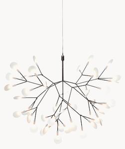Stmievateľné závesné LED svietidlo Heracleum III