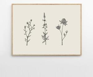 The Poster Club Plagát Three Friendly Bushels by Chloe Purpero Johnson 30x40