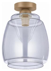 BRILAGI - LED Stropné svietidlo R GLASS 1xE27/60W/230V pr. 26 cm béžová/dymovošedá