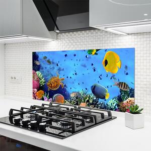 Nástenný panel  Koralový útes ryba príroda 120x60 cm