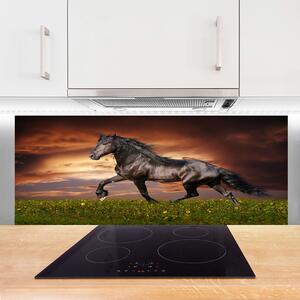 Nástenný panel  Čierny kôň lúka zvieratá 125x50 cm