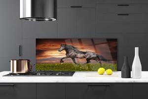 Nástenný panel  Čierny kôň lúka zvieratá 125x50 cm