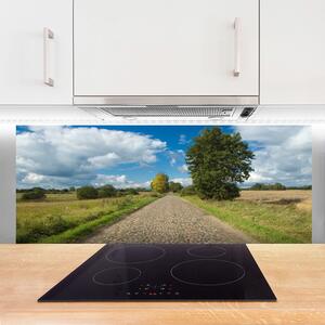 Nástenný panel  Dedina cesta dlažba krajina 125x50 cm