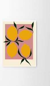 Autorský plagát Pink Lemon by Anna Mörner 30x40 cm