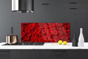 Nástenný panel  Ruže 125x50 cm