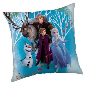 Fleecový detský vankúšik Frozen "Family" – Jerry Fabrics