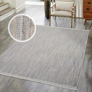 Dekorstudio Vintage koberec CLASICO 0052 - sivý Rozmer koberca: 200x290cm