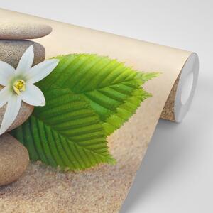 Fototapeta biely kvet a kamene v piesku