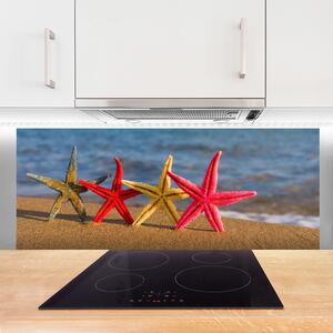 Nástenný panel  Pláž hviezdice umenie 125x50 cm
