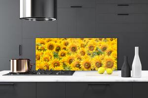 Nástenný panel  Slunecznice rastlina 125x50 cm