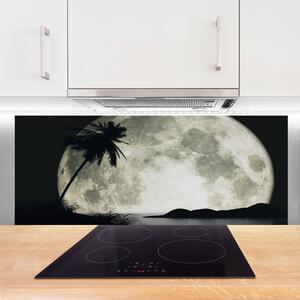 Nástenný panel  Noc mesiac palma krajina 125x50 cm