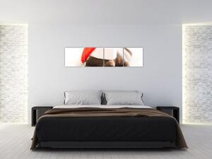 Obraz psa s čiapkou (Obraz 160x40cm)