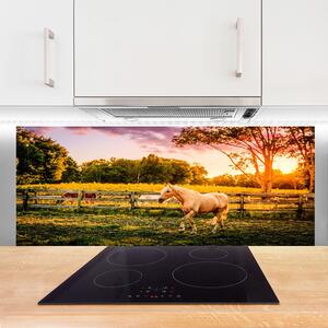 Nástenný panel  Kôň lúka zvieratá 125x50 cm