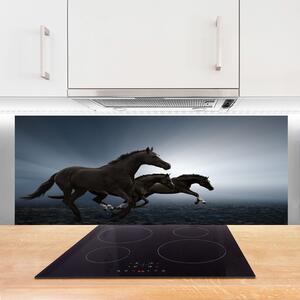 Nástenný panel  Kone zvieratá 125x50 cm