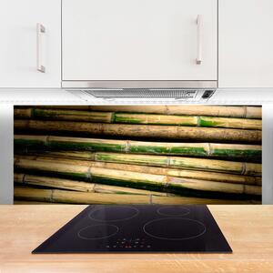 Nástenný panel  Bambus rastlina príroda 125x50 cm