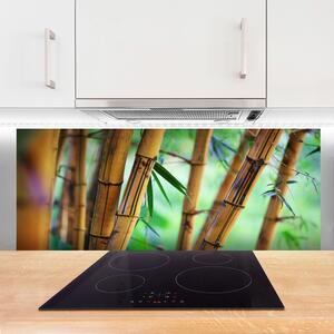 Nástenný panel  Bambus príroda rastlina 125x50 cm