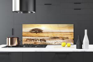 Nástenný panel  Púšť krajina 125x50 cm