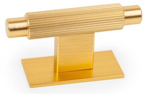 Úchytka knobka Viefe ARPA PLATE / zlatá / 70 x 25 mm