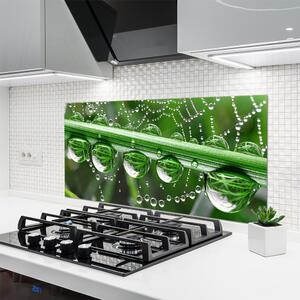 Nástenný panel  Pavučina kvapka rastlina 120x60 cm