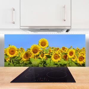 Nástenný panel  Slnečnica kvet rastlina 125x50 cm