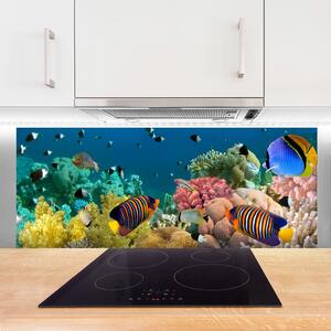 Nástenný panel  Koralový útes príroda 125x50 cm