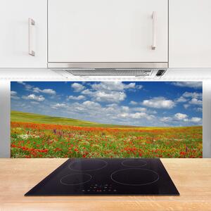 Nástenný panel  Lúka kvety príroda 125x50 cm