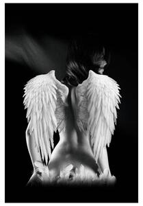Obraz ANGEL 80x120 cm, čiernobiela
