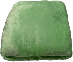 JERRY FABRICS Mikroplyšová plachta pastelovo zelená Polyester, 180/200 cm