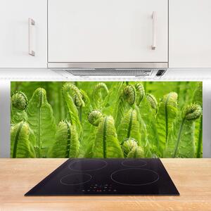 Sklenený obklad Do kuchyne Rastlina príroda 125x50 cm