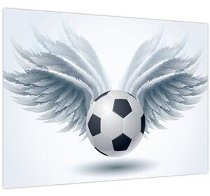 Obraz - Balón s krídlami (70x50 cm)