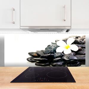 Sklenený obklad Do kuchyne Kvety kamene umenie 125x50 cm