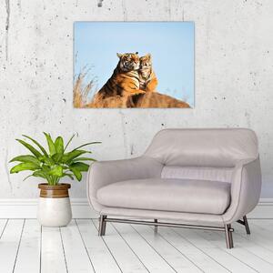Obraz - Tigrice a jej mláďa (70x50 cm)