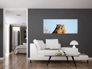 Obraz - Tigrice a jej mláďa (120x50 cm)