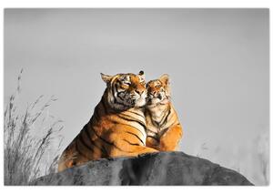 Obraz - Tigrice a jej mláďa, čiernobiely variant (90x60 cm)
