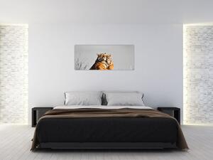 Obraz - Tigrice a jej mláďa, čiernobiely variant (120x50 cm)