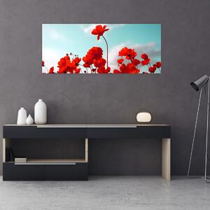 Obraz poľa s jasne červenými kvetmi (120x50 cm)