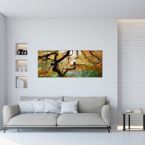 Obraz žltého japonského javora, Portland, Oregon (120x50 cm)