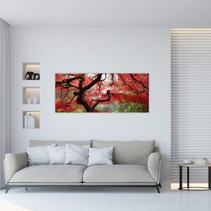 Obraz červeného japonského javora, Portland, Oregon (120x50 cm)