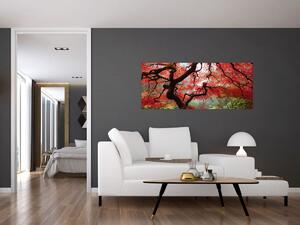 Obraz červeného japonského javora, Portland, Oregon (120x50 cm)
