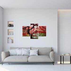 Obraz červeného japonského javora, Portland, Oregon (90x60 cm)