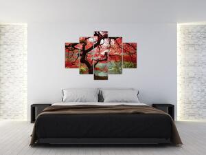 Obraz červeného japonského javora, Portland, Oregon (150x105 cm)